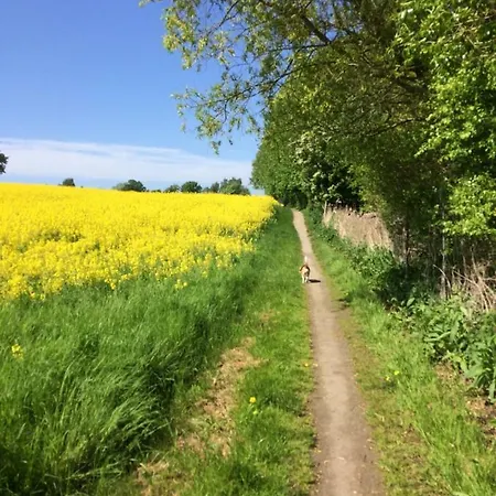 Oda ve Kahvaltı Troense By The Sea